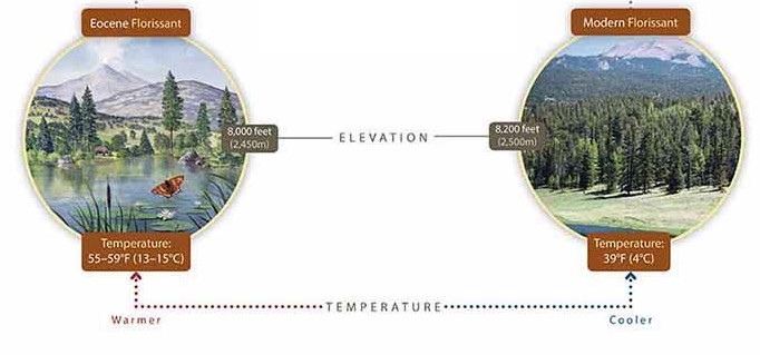 Artists rendition of ancient Florissant with temperature and elevation differences against modern Florissant