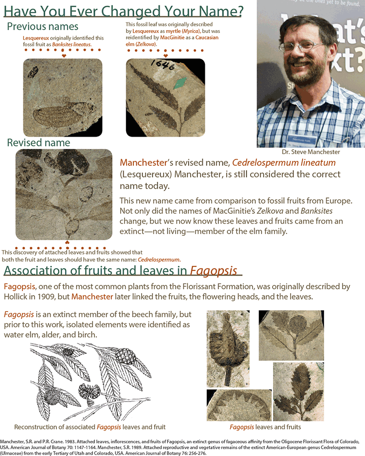 have-you-ever-changed-your-name-florissant-fossil-beds-national