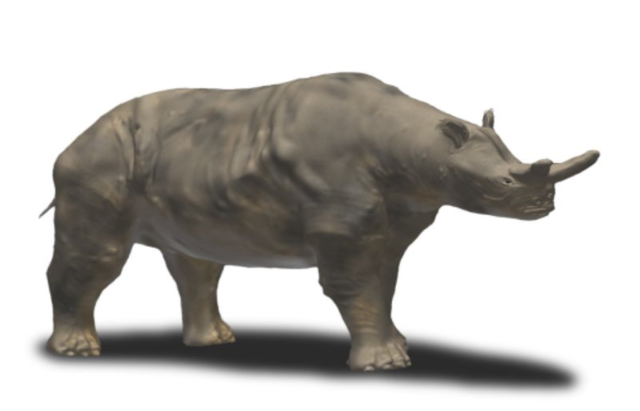 Artwork depicting brontothere (megacerops)