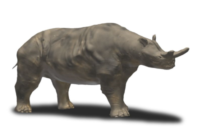 Megacerops Artwork depicting brontothere (megacerops)