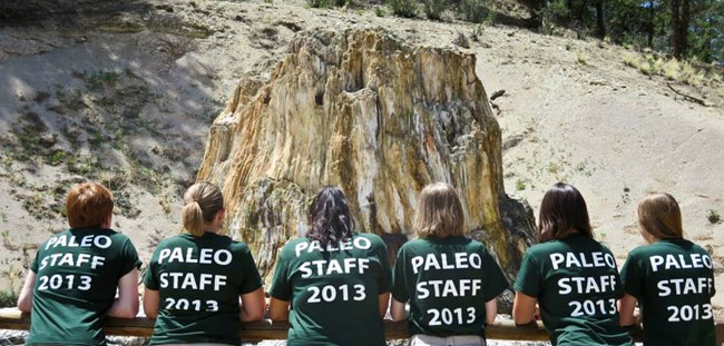 Paleontology Interns, Summer 2013 Paleontology Interns, Summer 2013