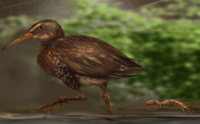 rail Artwork depicting shore bird by edge of lake