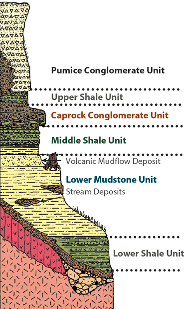 stratigraphic column