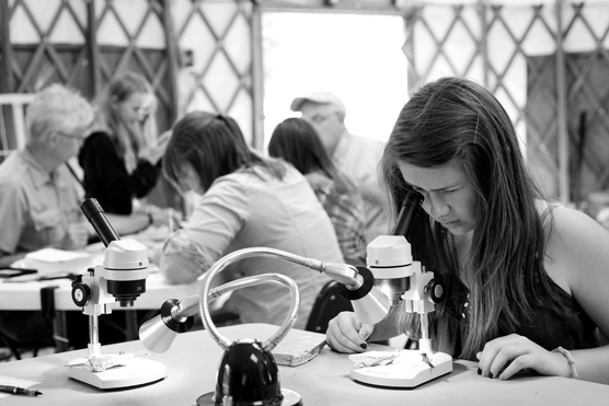 Visitors enjoy the fossil lab. 