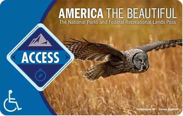 America the Beautiful Access Pass with picture of owl flying above grassy field