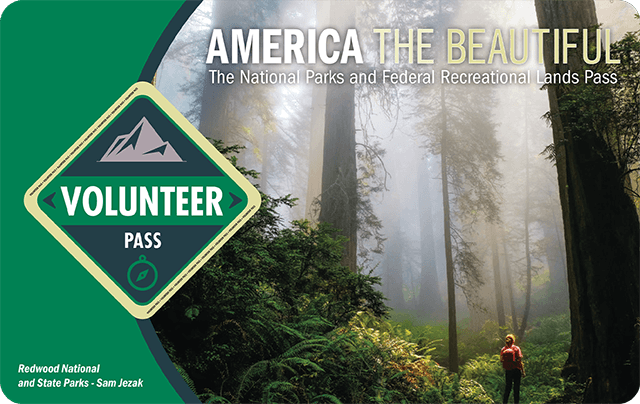 America the Beautiful 2021 Annual Volunteer pass with image of hiker in the redwood forest