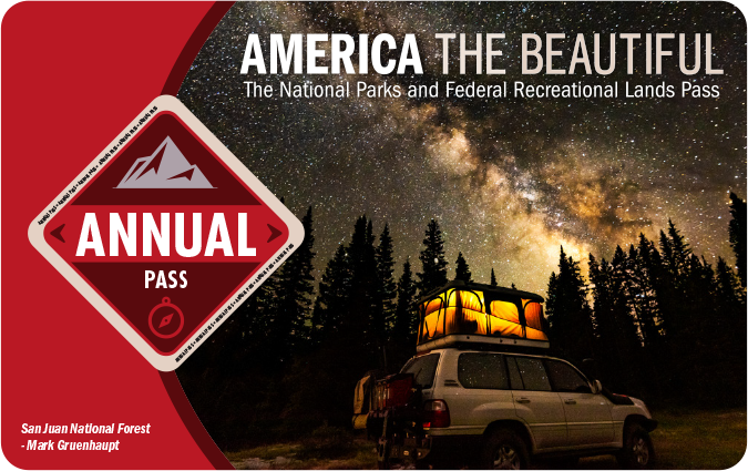 Image of American The Beautiful Pass