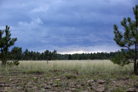 a summer thunderstorm