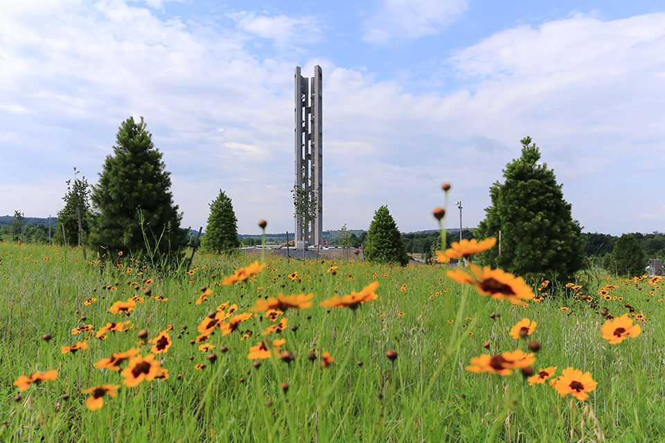 Tower of Voices The Tower of Voices stands in the distance against a blue sky. In the foreground is a green field dotted with small yellow and orange flowers.
