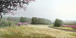Tower of Voices view 3. (Image credit:  bioLINIA and Paul Murdoch Architects) - Spring