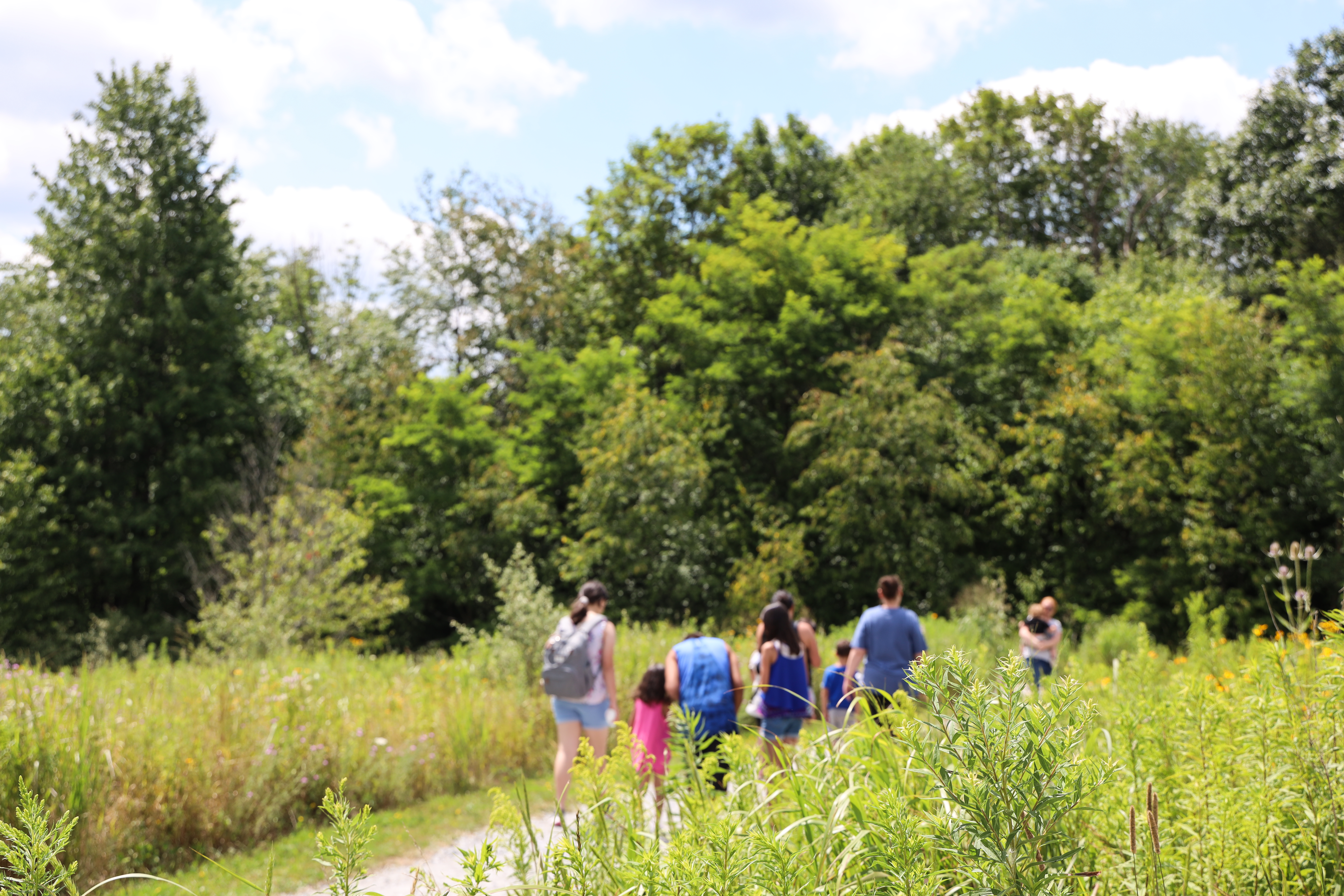 A family walking on the Western Overlook trail at the memorial.