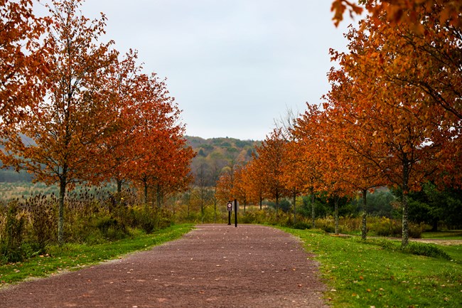 The Allee and Memorial Groves, 40 groves of 40 trees for each passenger and crew member.