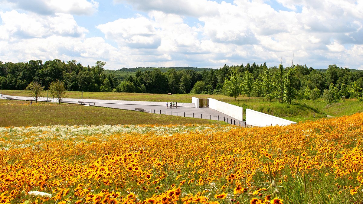 Evergreen trees in the distance with black walkway and white marble wall surrounded by field of yellow wildflowers.