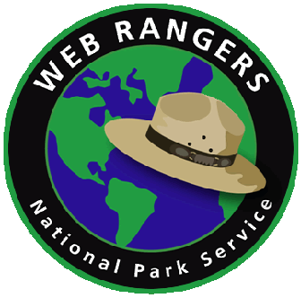 Image result for web rangers