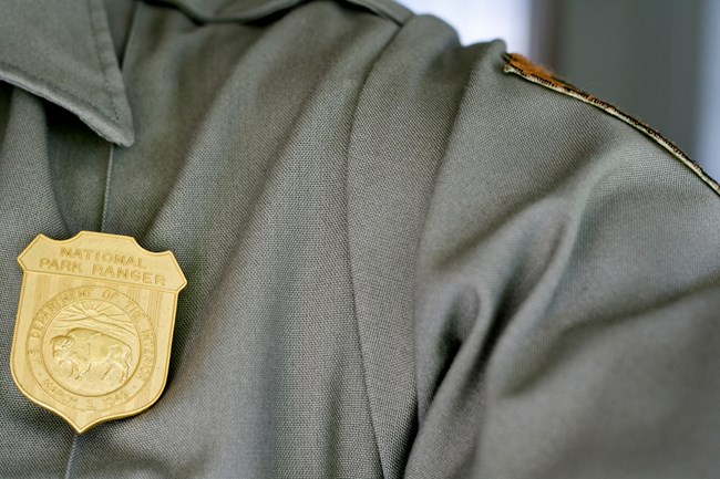 A gold park ranger badge pinned on a gray shirt.