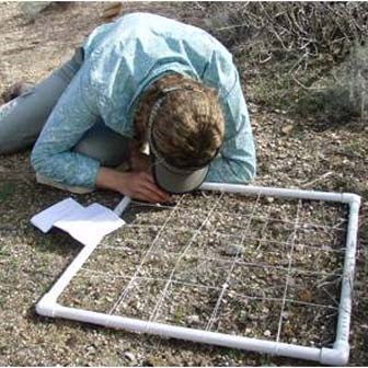 inventory and monitor of species