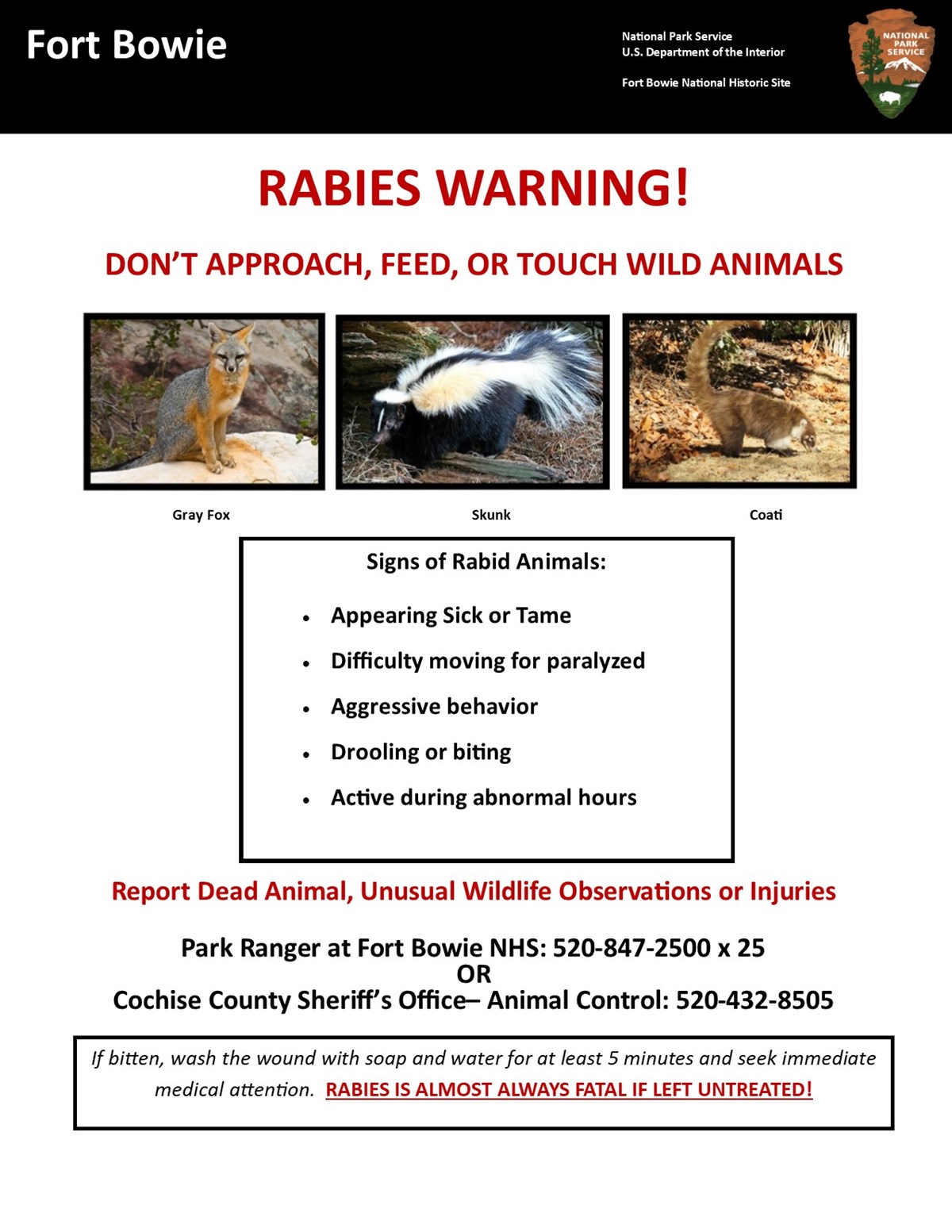 Information regarding rabies in southern Arizona