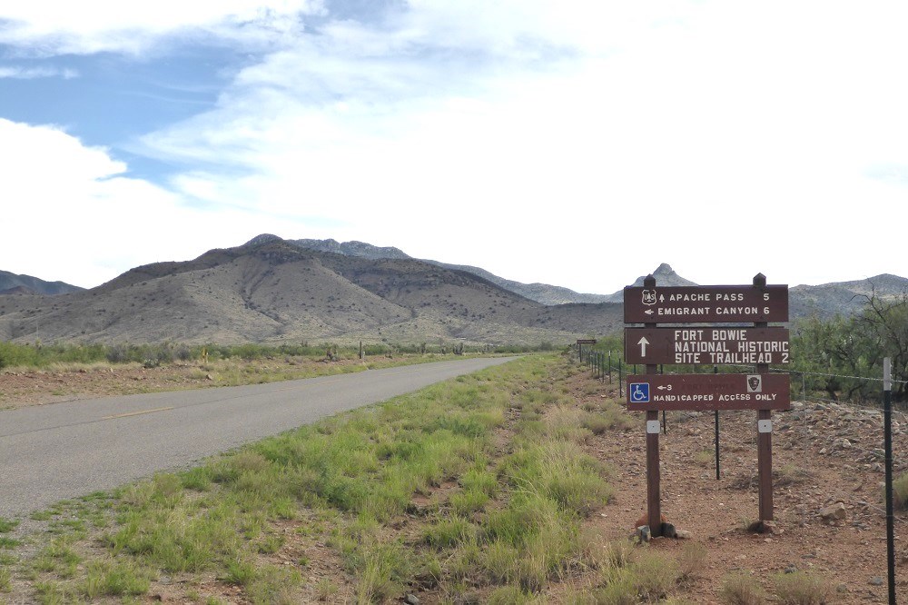 Brown wooden sign with handicap symbol beside a road.