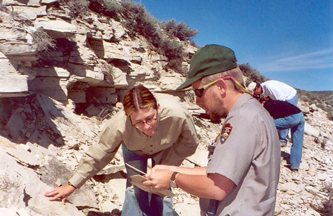 learning about layers from the Green River Formation during a field trip A ranger shows a student a green river fossil