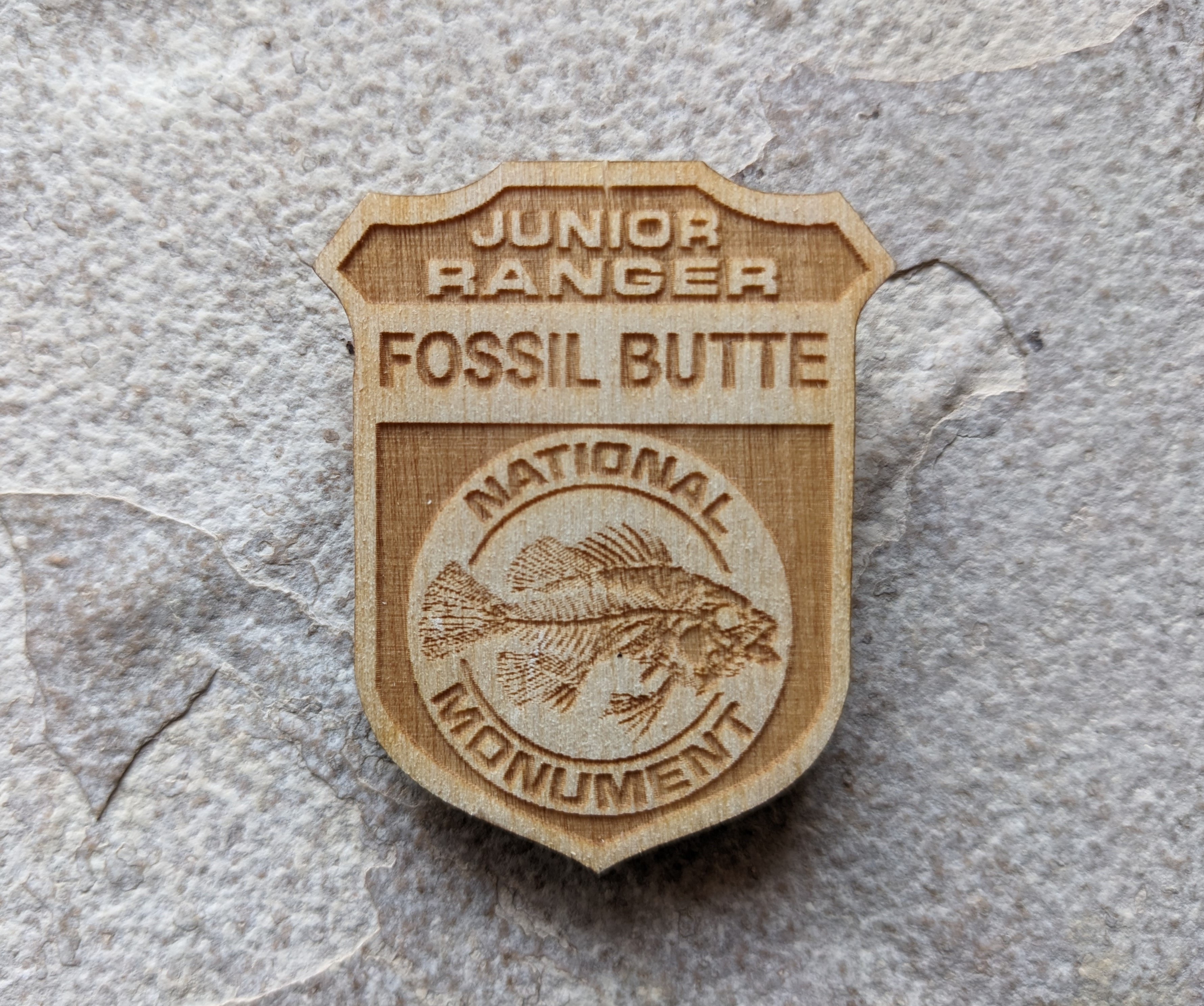 ニュージャージー州　バーレントン郡 サージェントバッジ Junior Ranger - Fossil Butte National Monument (U.S. National Park