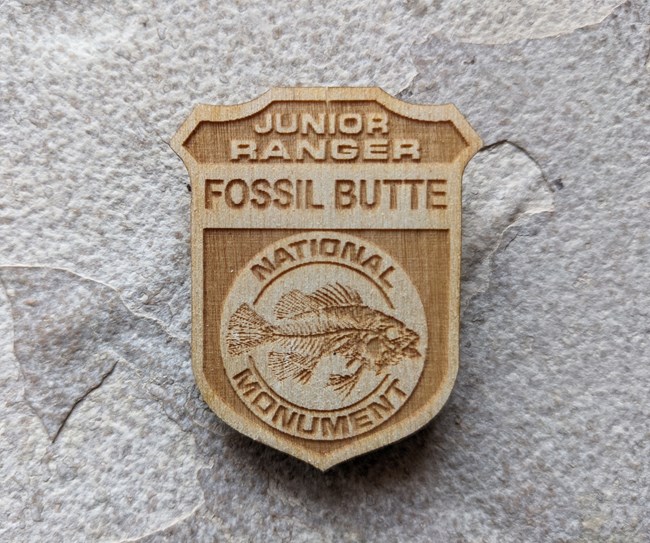 A wooden badge rests atop a rock. The badge says Junior Ranger Fossil Butte National Monument and has an image of a fossil fish.