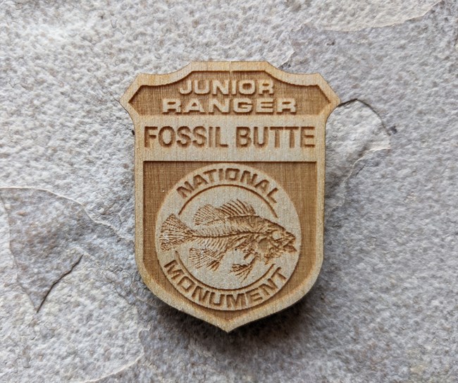A wooden badge that says Junior Ranger Fossil Butte National Monument with a fossil fish resting on top of a rock.