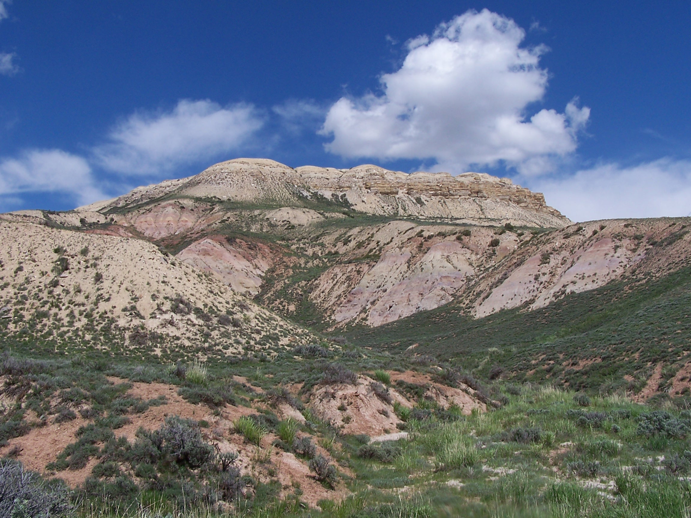 Fossil Butte National Monument Fossil Butte with a blue sky background and green plants at the base