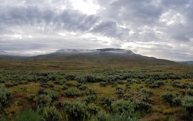 Fog covers the top of Fossil Butte