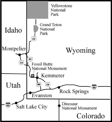 area map