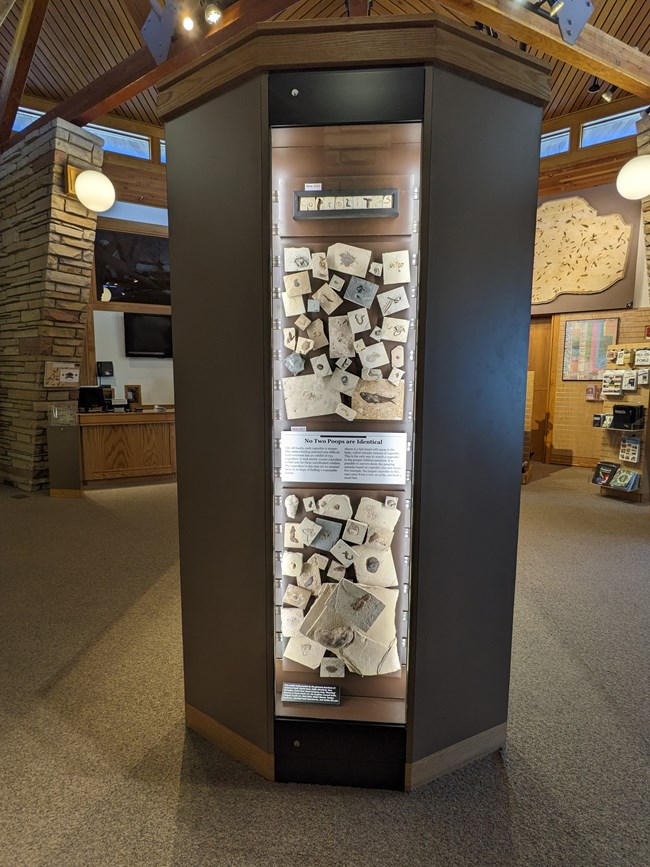 Exhibit case filled with over 50 fossil poops. A title at the top spells coprolites in fossil poop. A sign in the middle says No Two Poops are Identical. The text underneath is unreadable.