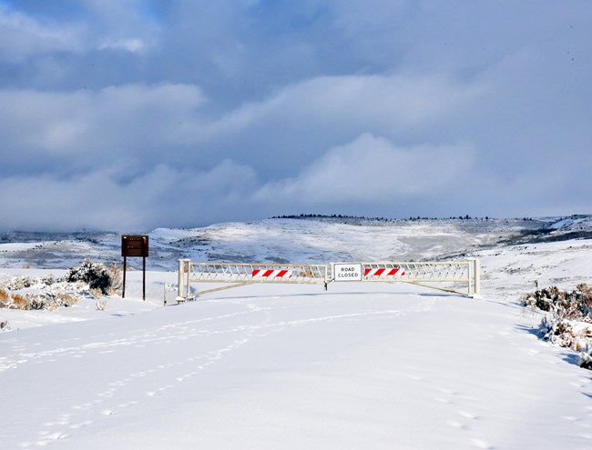 Snow-covered road blocked by a gate with a sign that says road closed.