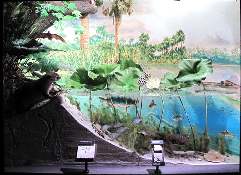 Diorama of Fossil Lake