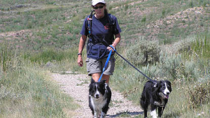 hiking with four-legged friends hiking with four-legged friends