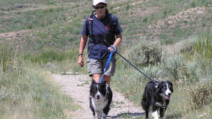 hiking with four-legged friends