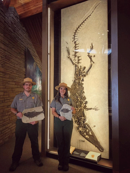 Park Rangers in VC 2 park rangers holding fish fossils in front of crocodilian fossil in Visitor Center