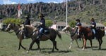 Soldiers on horseback.