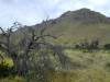 Photo of mountains in Big Bend National Park.