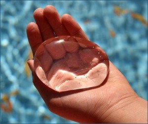 We can learn much from water. We can learn much from water.