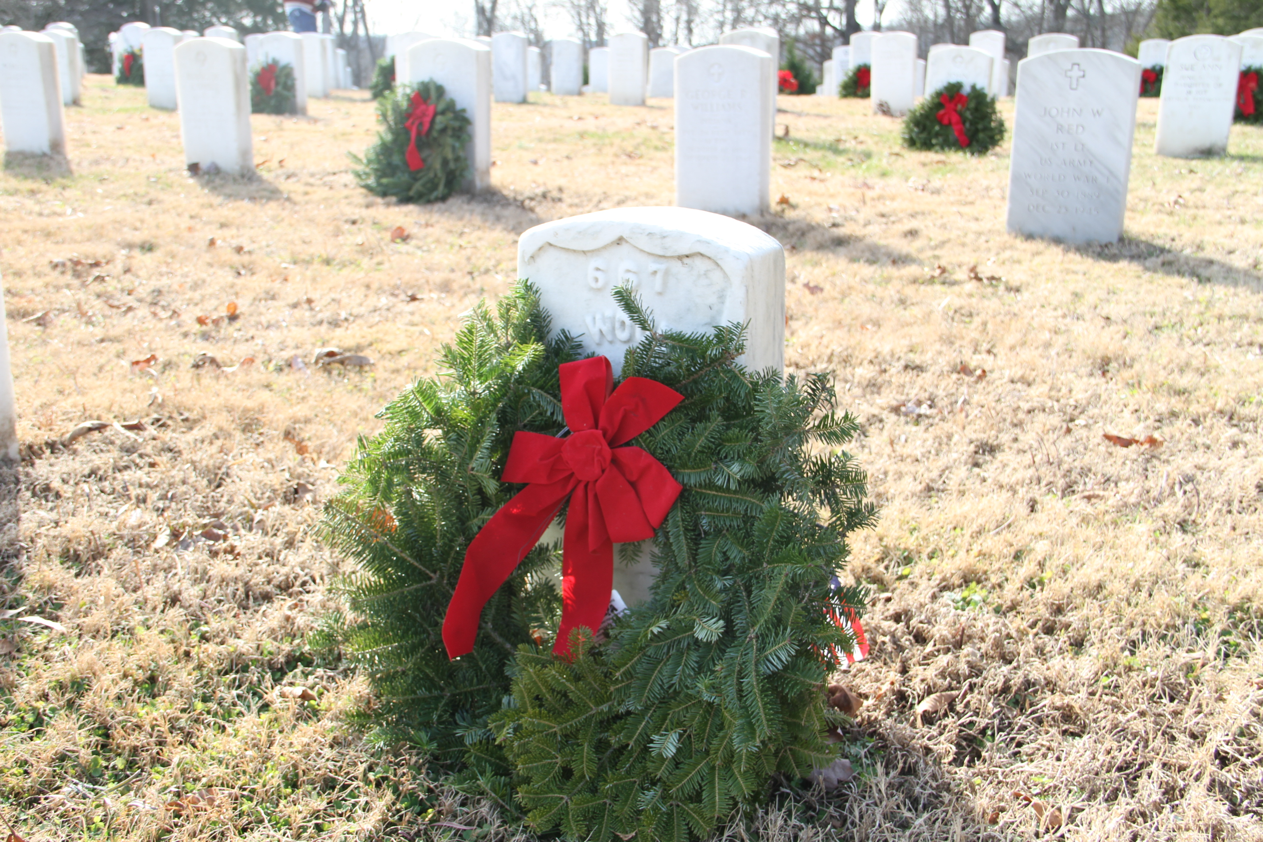 A Christmas wreath lays on grave 667 with other Christmas wreaths behind it.