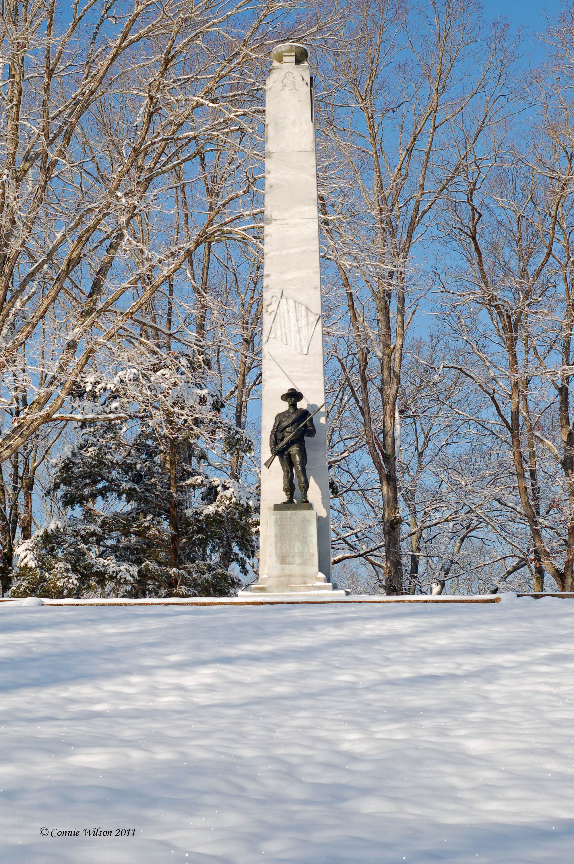 CONFEDERATE MONUMENT - Fort Donelson National Battlefield (U.S