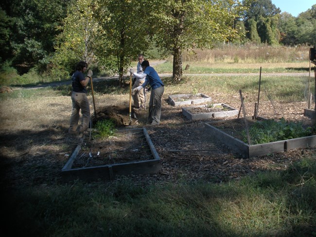 Fort Dupont Volunteers Fort Dupont Volunteers