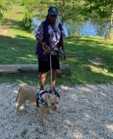 Dog on leash