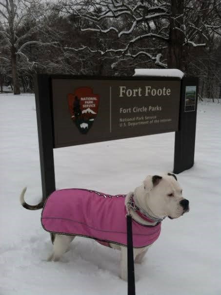 A dog on a leash in front of the Fort Foote Park sign.