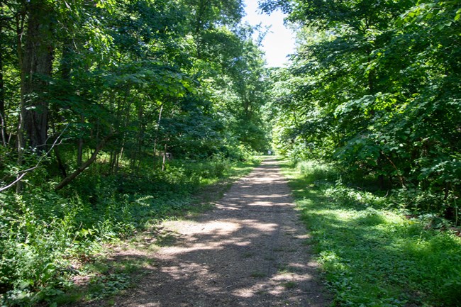 A wide dirt and gravel path cutting through a wooded area.