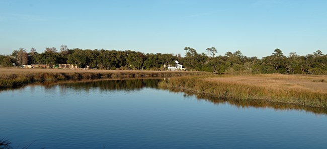 Image of a creek through a salt marsh