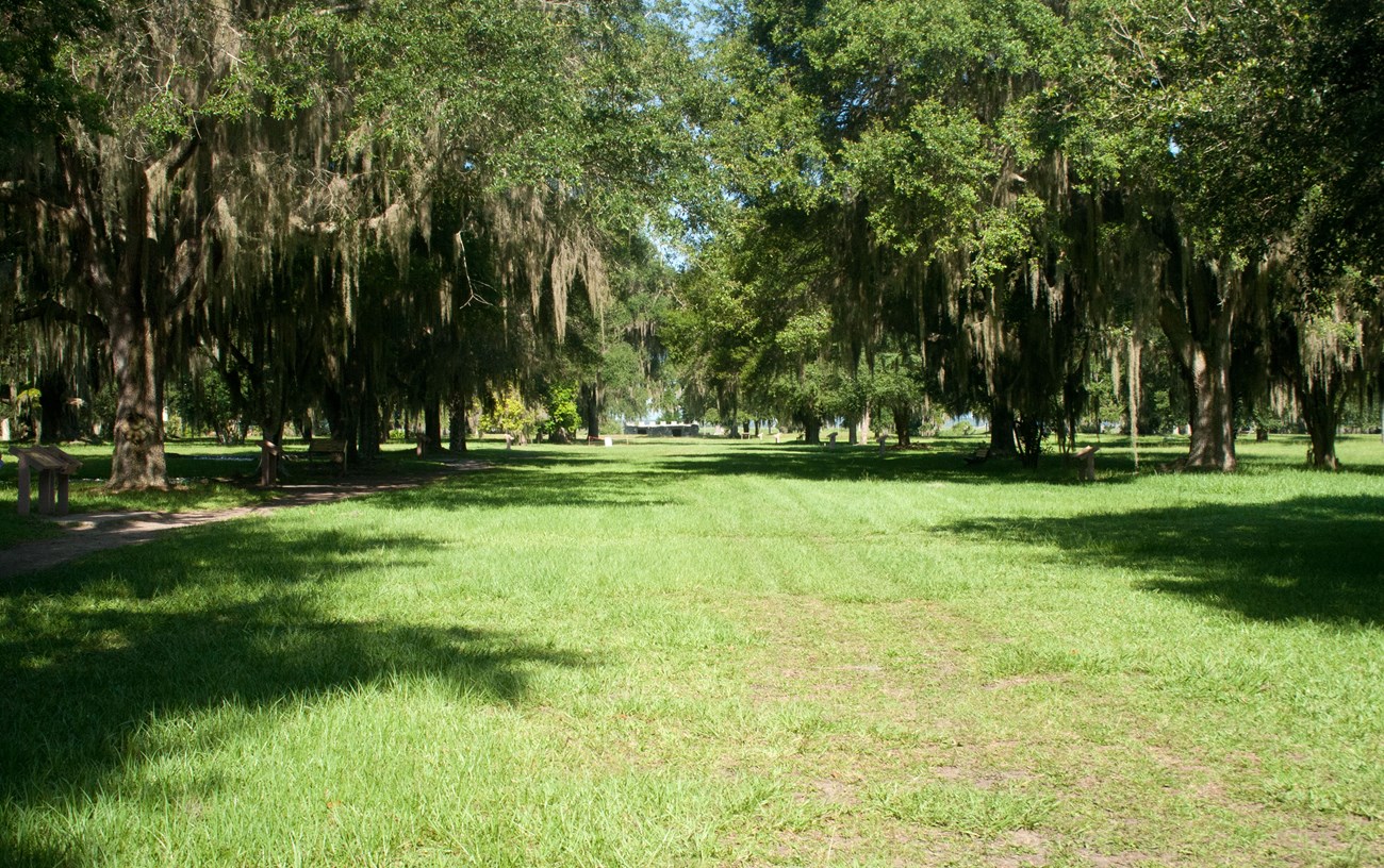 grassy walking path in historic area