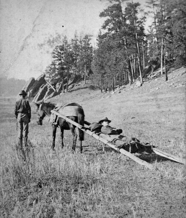 A man stands beside a horse-drawn wood carrier, with another man guiding the horse