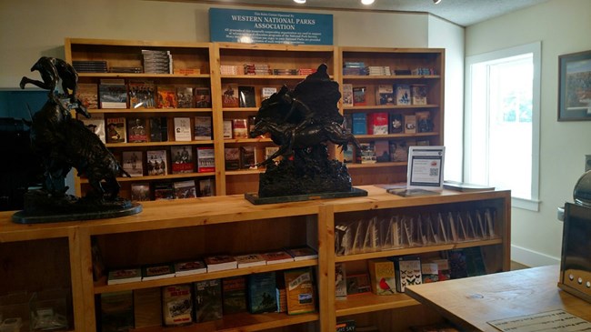 Wooden bookshelves with books.