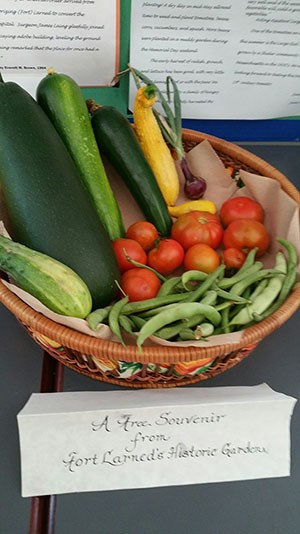 Basket with a variety of vegetables.