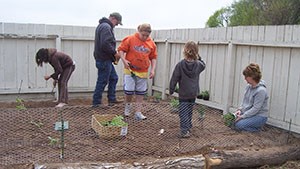Young girls helping to plant a garden.